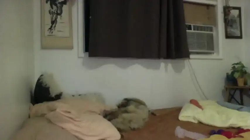 Bambidear420 - Chaturbate Free Video - 2025 04-02 13:10:08