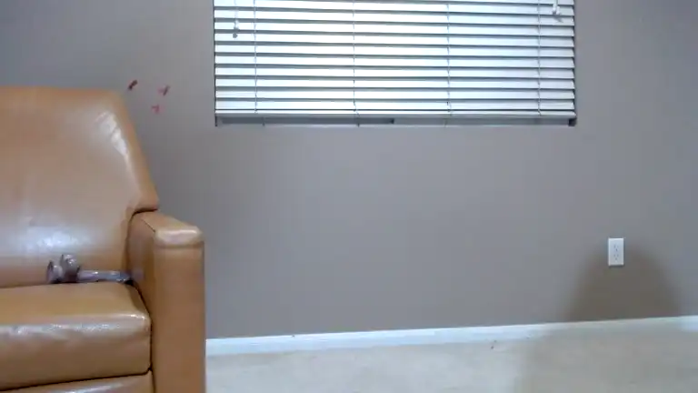 Briannastarrr - Streamate Record Video - 2025 02-05 03:55:03