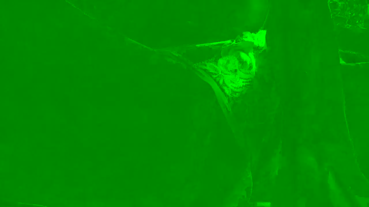 Calatwoja29_ - Showup Hot Show Video - 2025 05-08 17:19:10
