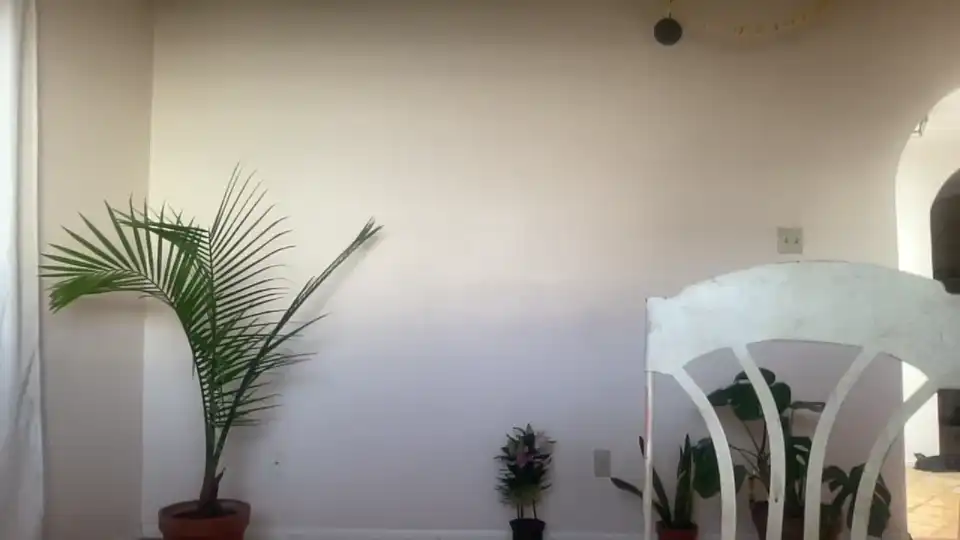 Channel022 - Chaturbate Record Video - 2025 02-02 07:38:41